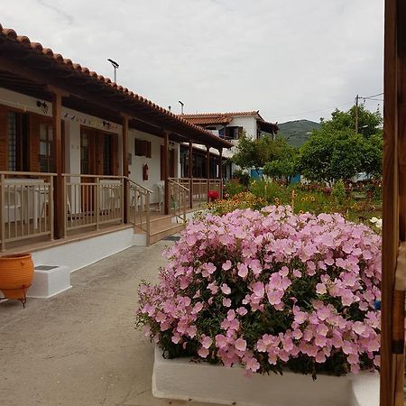 الشقق الفندقية مدينة سكياثوسفي  Asimina'S House المظهر الخارجي الصورة