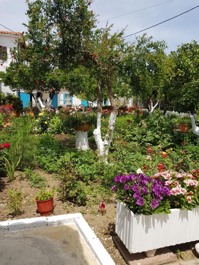 الشقق الفندقية مدينة سكياثوسفي  Asimina'S House المظهر الخارجي الصورة