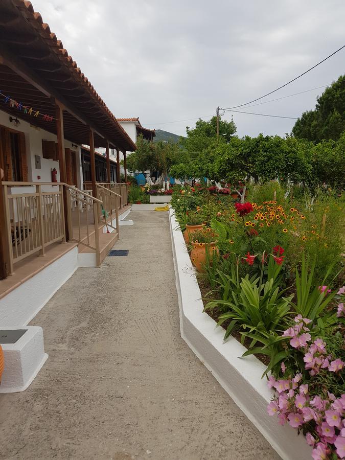 الشقق الفندقية مدينة سكياثوسفي  Asimina'S House المظهر الخارجي الصورة